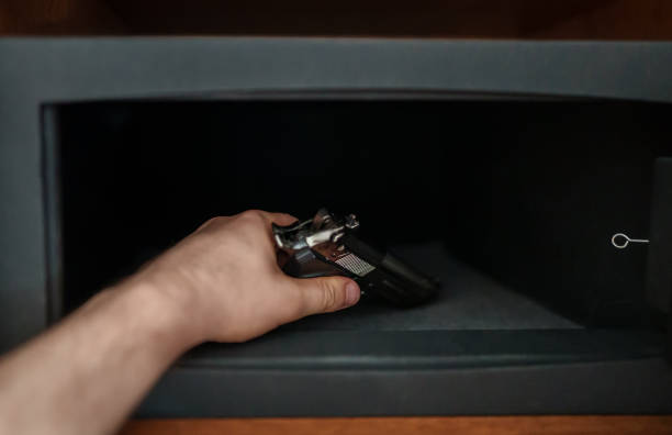 Fort Knox handgun safe