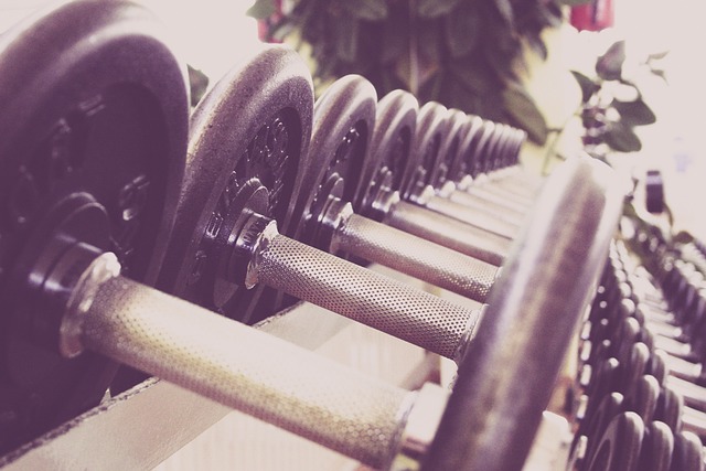 dumbbell rack