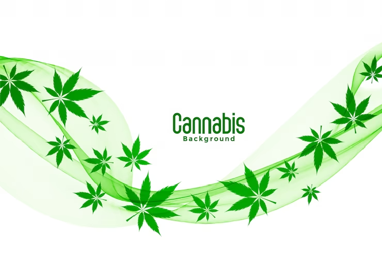 virginia medical marijuana card