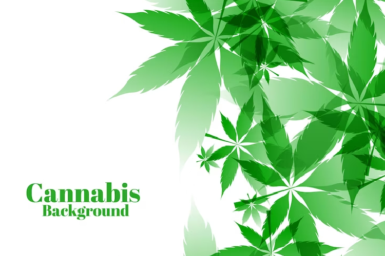 virginia medical marijuana card