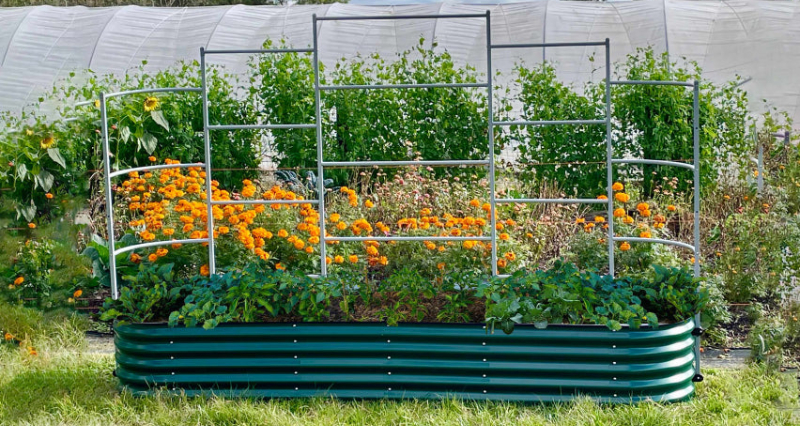 raised garden bed kit