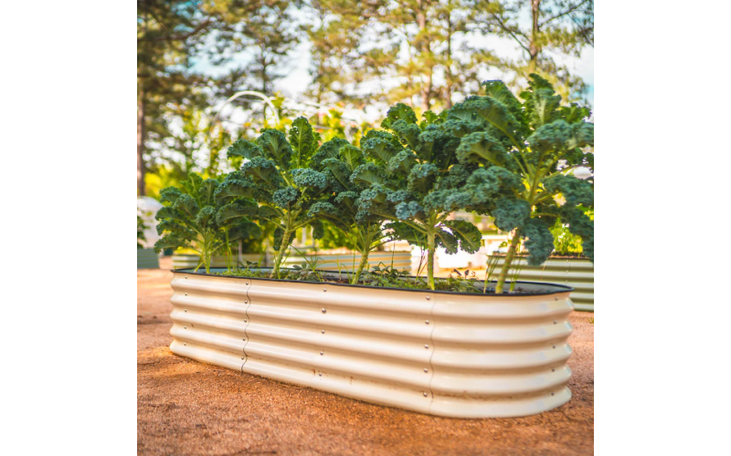raised garden beds