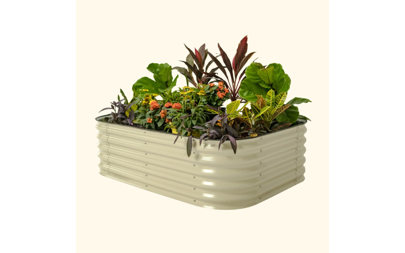 raised garden beds