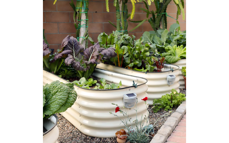 raised garden bed kit