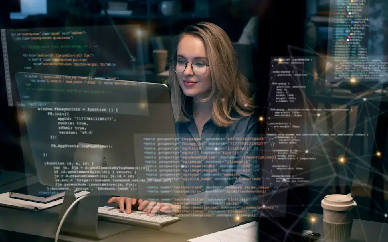 customised software development