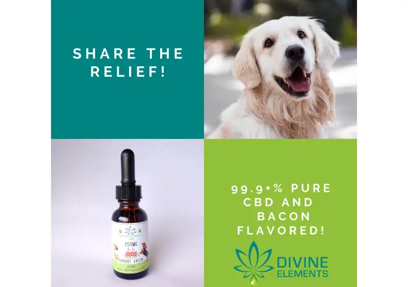 cbd pet products