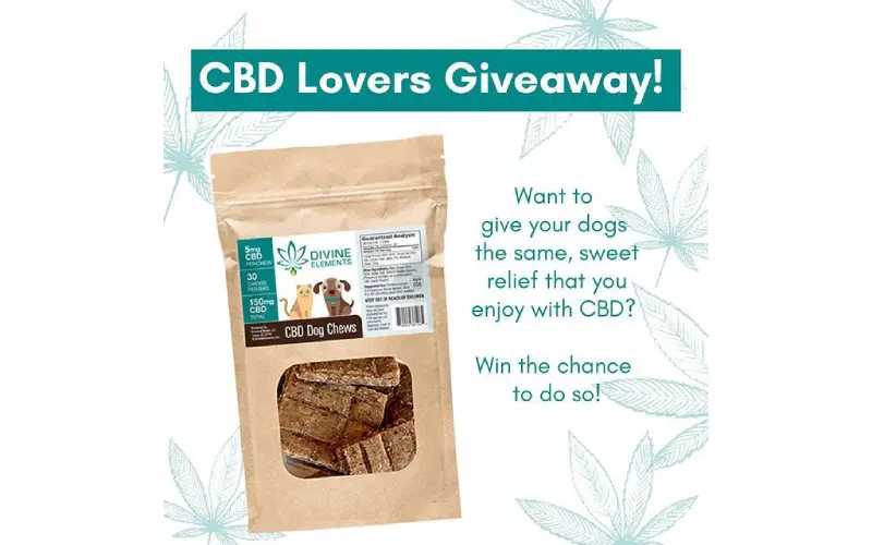 cbd for pets