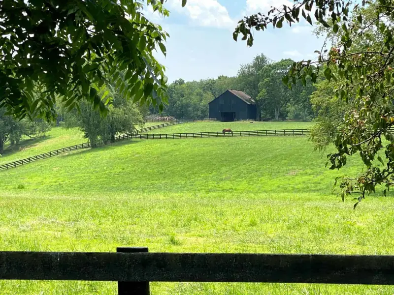land in florida for sale