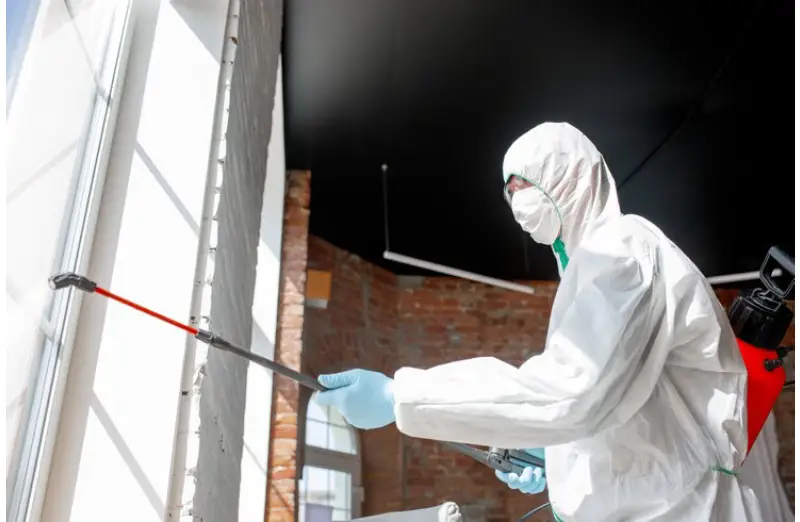 Bedbug Exterminator in Toronto