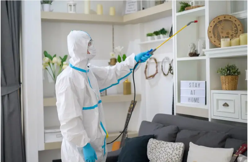 Bedbug Exterminator in Toronto