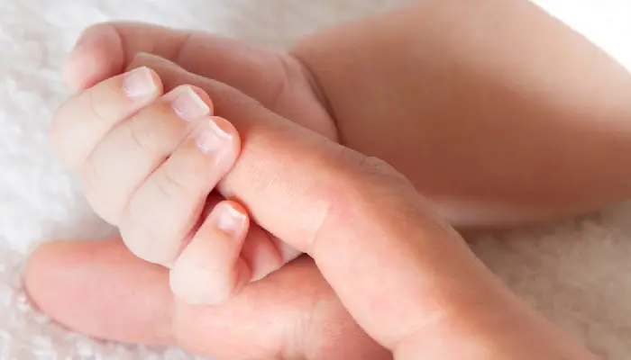 egg donor matching services in san diego