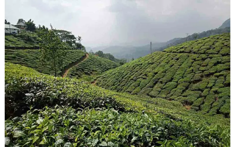 kerala package tour